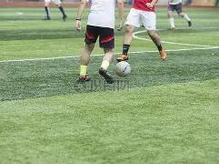 特里皮尔澄,加盟纽卡并,非只为金钱,万博manbetx体育平台,万博体育官网,万博体育app下载,ManBetX,SPORTS