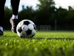 山东男团荣,获全国青少,年三大球运,万博manbetx体育平台,万博体育官网,万博体育app下载,ManBetX,SPORTS