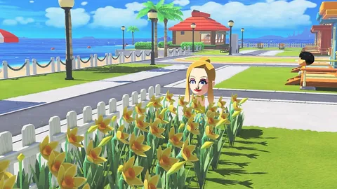 2025女足世界杯越南概况